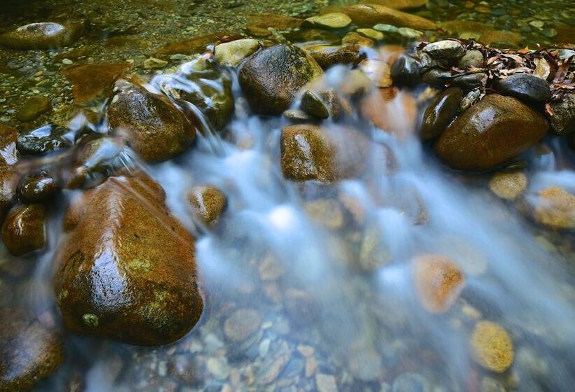 Daintree Cascades
