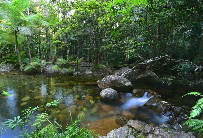 Daintree Cascades