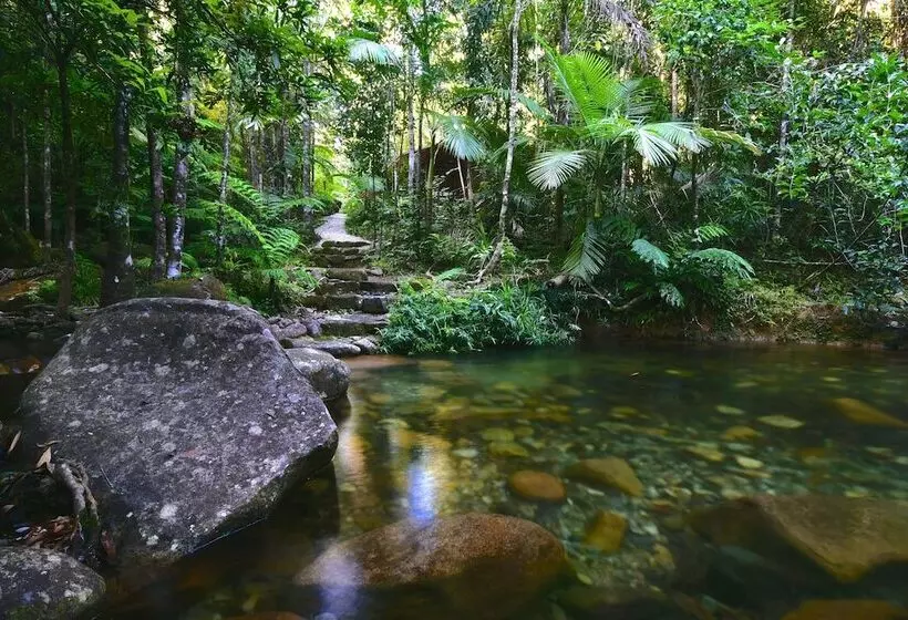 Daintree Cascades