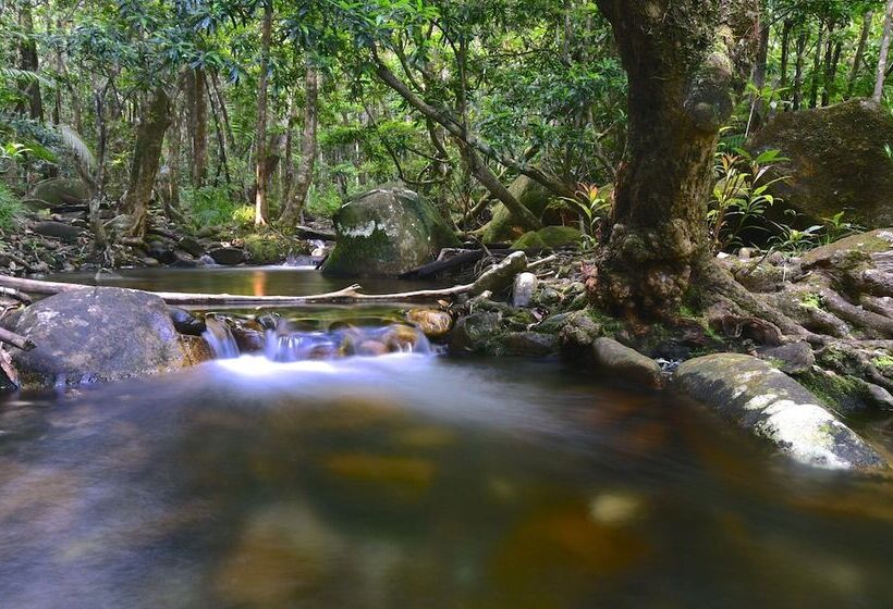 Daintree Cascades