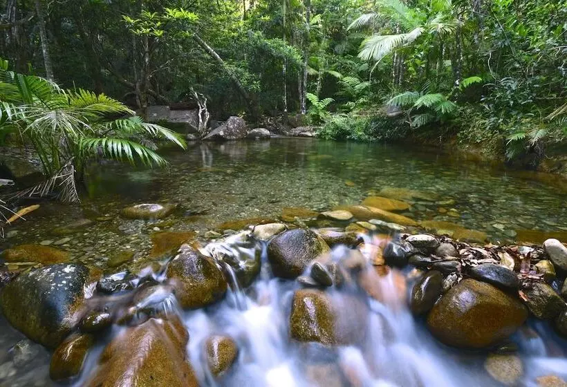 Daintree Cascades