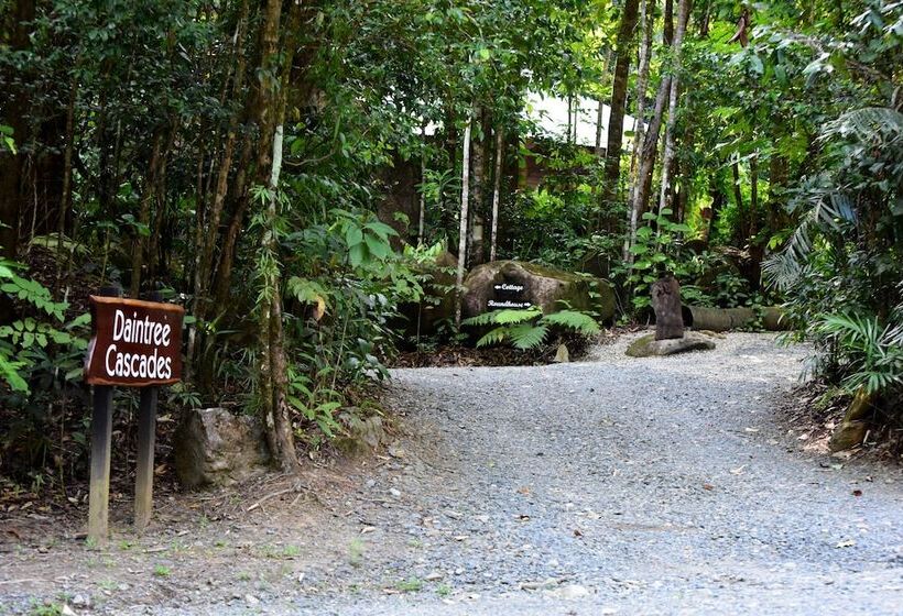 Daintree Cascades