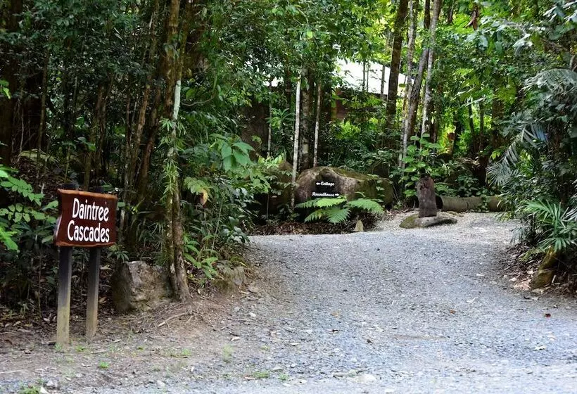 Daintree Cascades