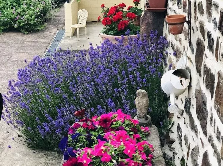 Frenes B & B