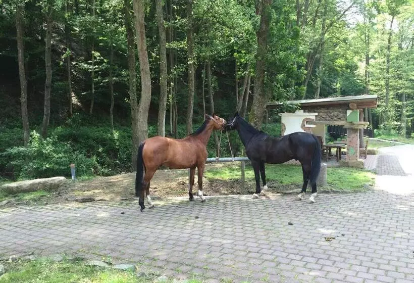 Hotelli Huttenmuhle Hillscheid