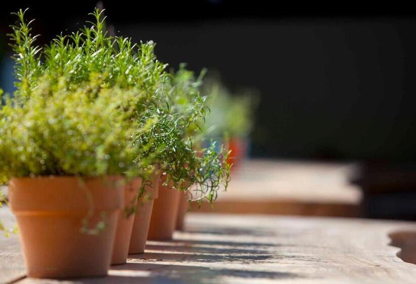 בית מלון כפרי Huttenmuhle Hillscheid