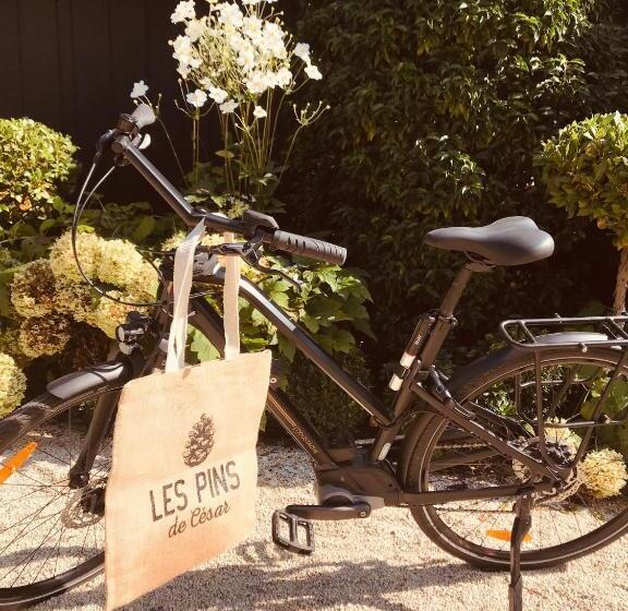 فندق Les Pins De Cesar  La Campagne D Etretat