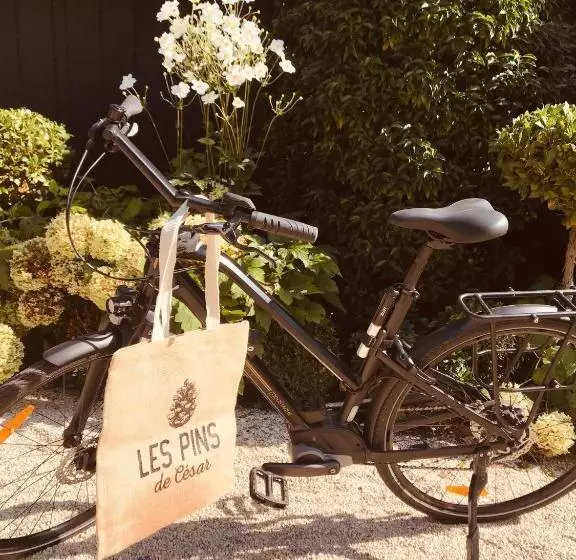 Hotelli Les Pins De Cesar  La Campagne D Etretat