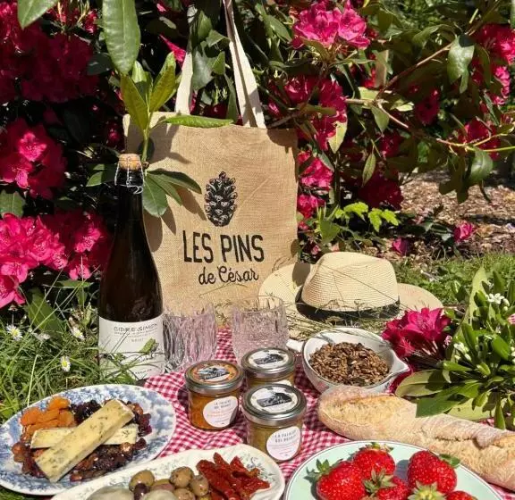 Hotelli Les Pins De Cesar  La Campagne D Etretat