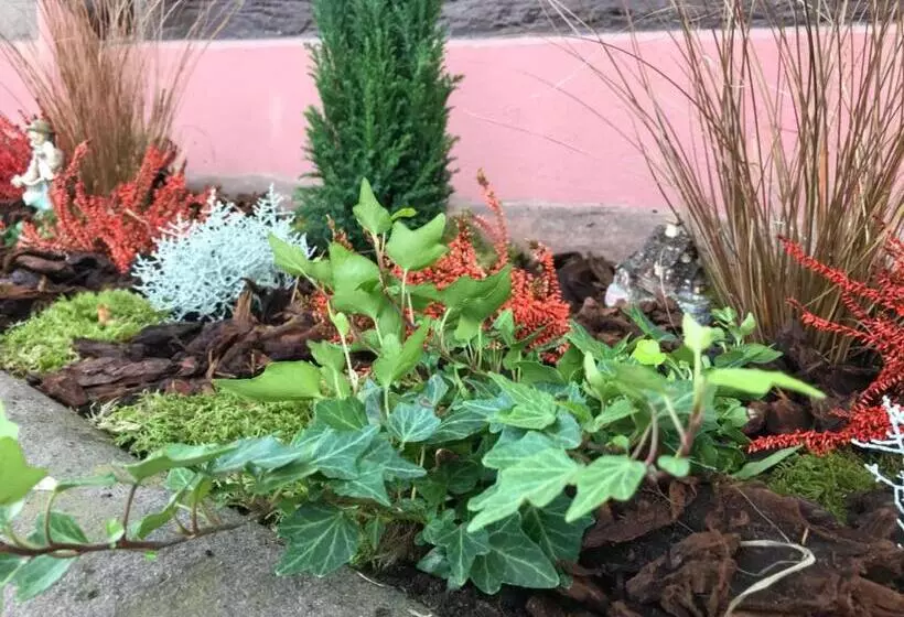 ペンション Appartement T3 Aux Deux Cigognes Gries