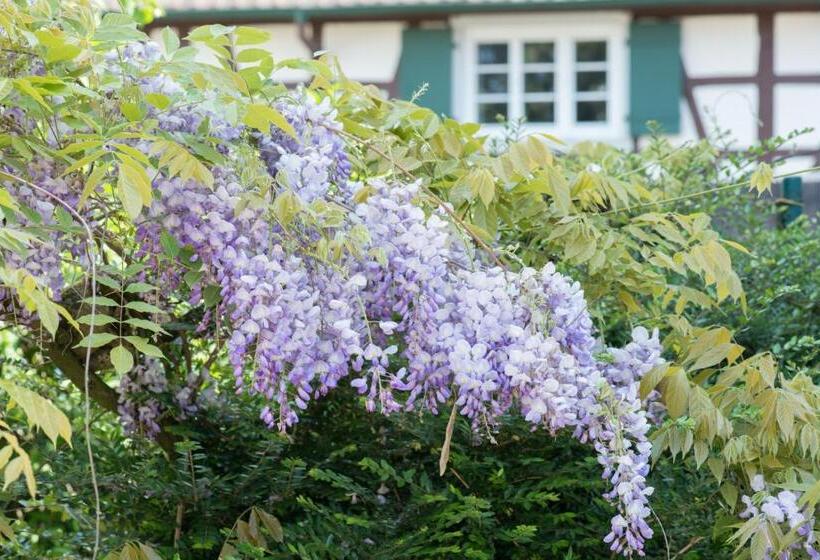 پانسیون Appartement T3 Aux Deux Cigognes Gries