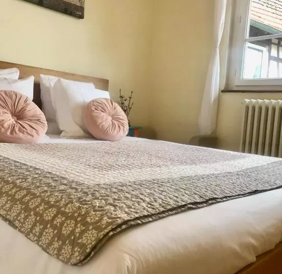 ペンション Appartement T3 Aux Deux Cigognes Gries