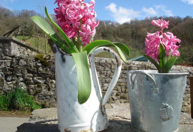 膳宿费 Chez Marraine