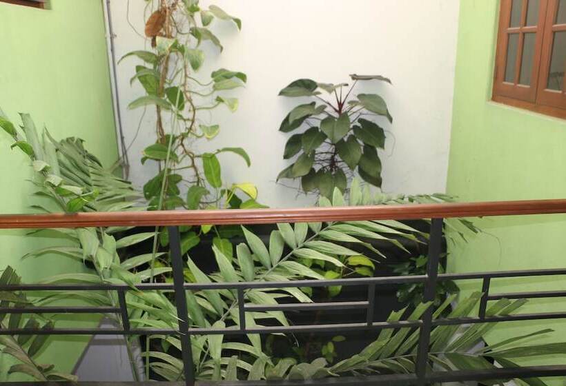 ペンション Comfystay Home Stay