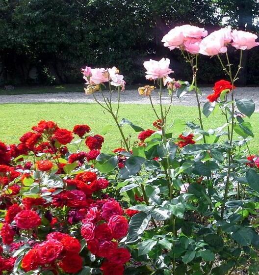 بنسيون Le Logis De Ruelle