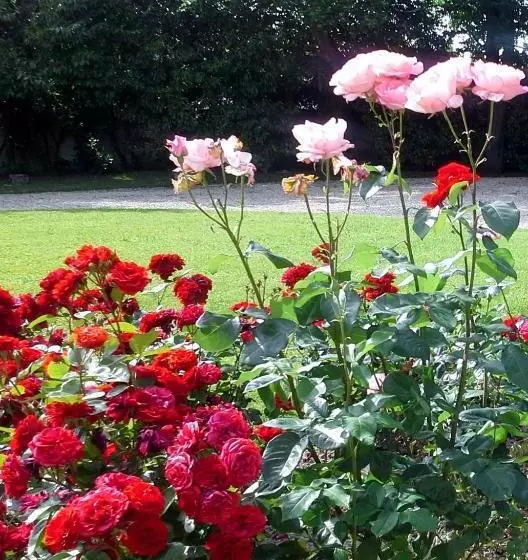 Majatalo Le Logis De Ruelle