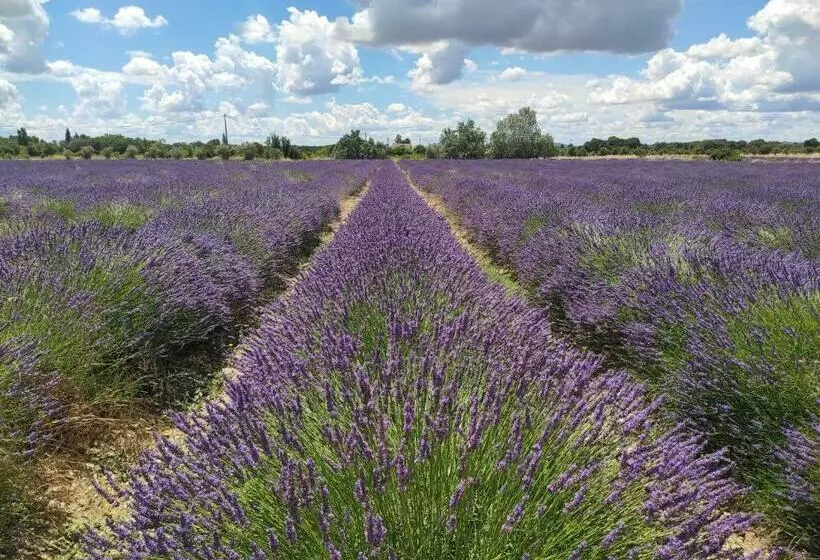 Majatalo Les Champs De Provence