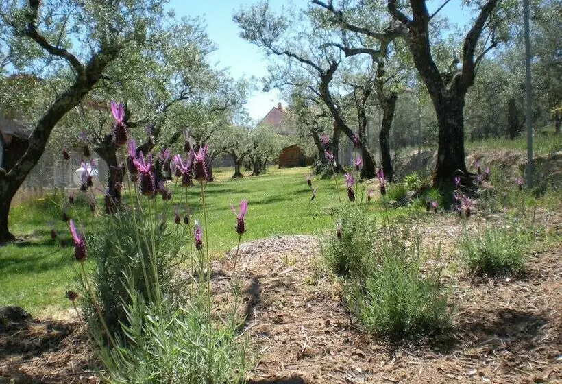 Retkeilymaja Campamento Los Tres Picos De La Vera