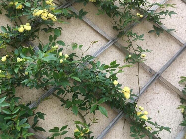 민박 La Tramontane