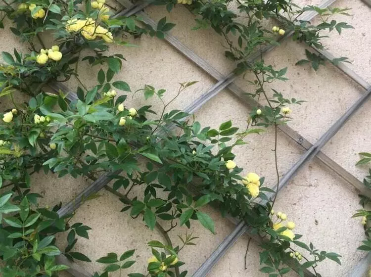 ベッドアンドブレックファースト La Tramontane