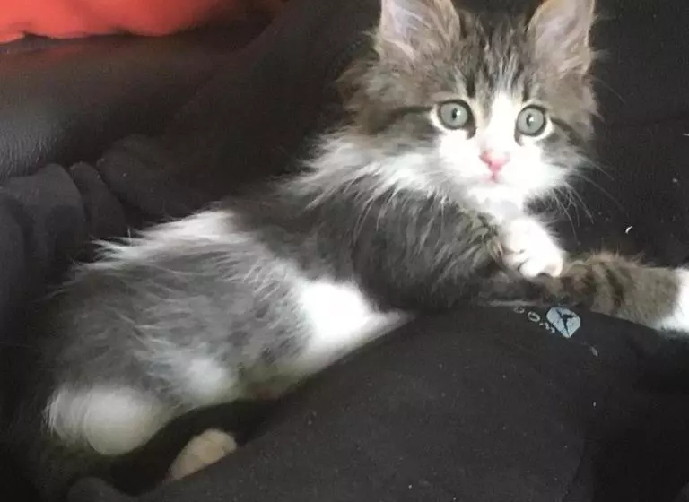 ベッドアンドブレックファースト La Tramontane