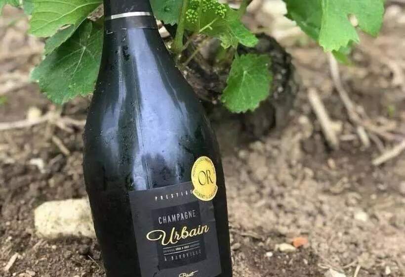 Aamiaismajoitus (B&B) Champagne Urbain