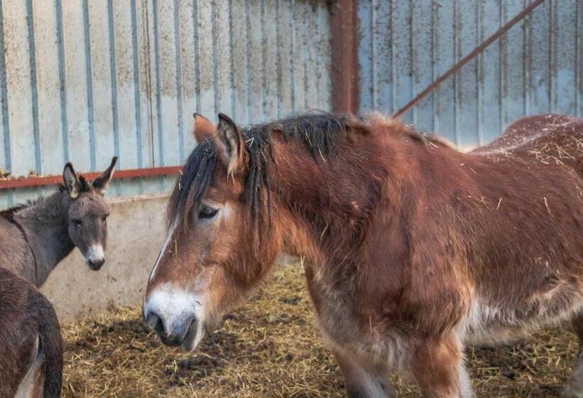 ベッドアンドブレックファースト Flopre