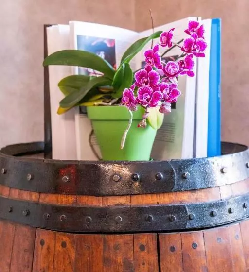 Aamiaismajoitus (B&B) Flopre