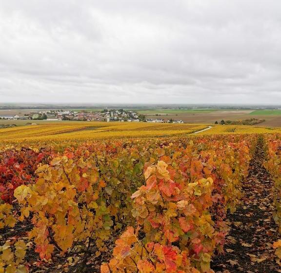 مبيت وإفطار Le Clos Du Moulin