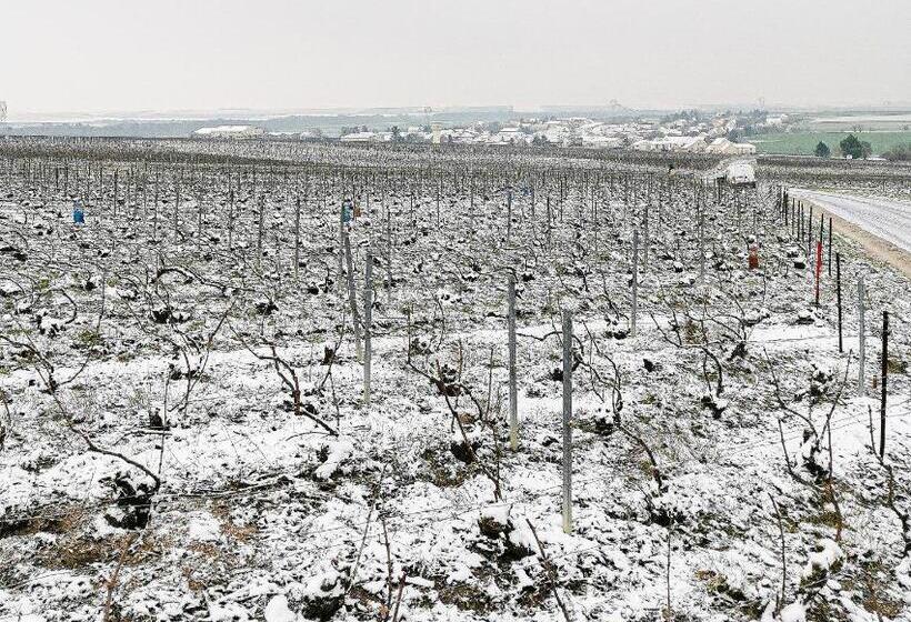 مبيت وإفطار Le Clos Du Moulin