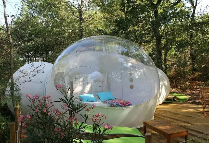 ホテル Au Pays Des Bulles