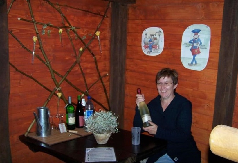 Отель Erlebnisbahnhof Hollenbek