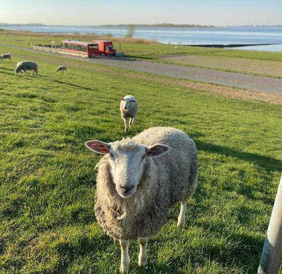 ホテル Fahrhaus Kollmar