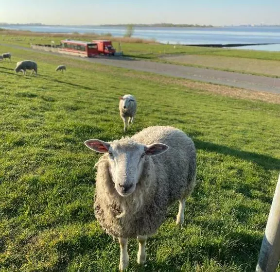 ホテル Fahrhaus Kollmar