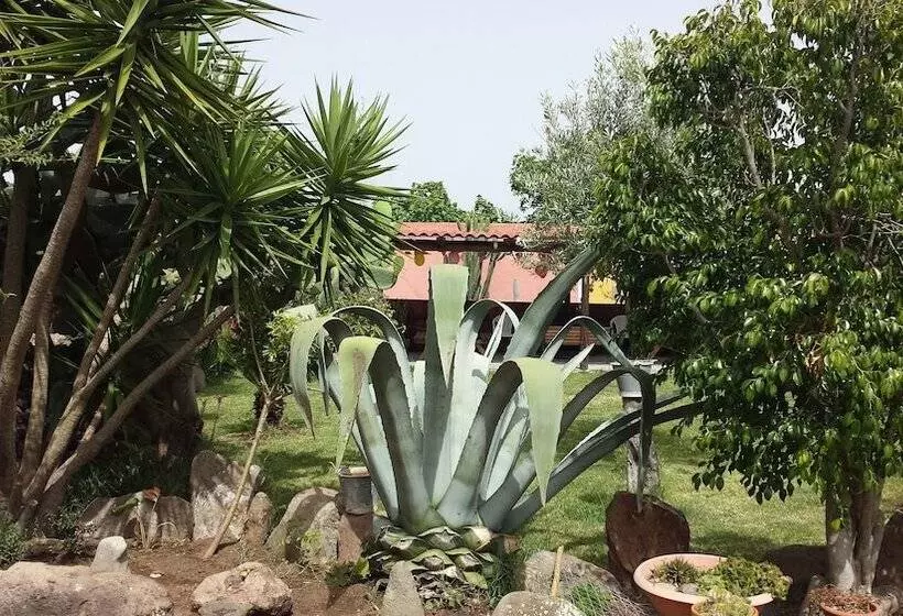 田舎風ホテル Is Concais