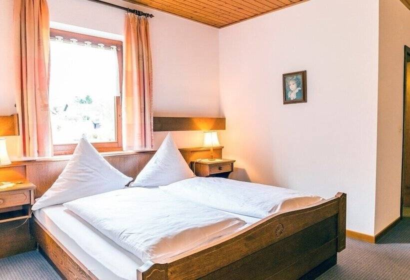 בית מלון כפרי Wald