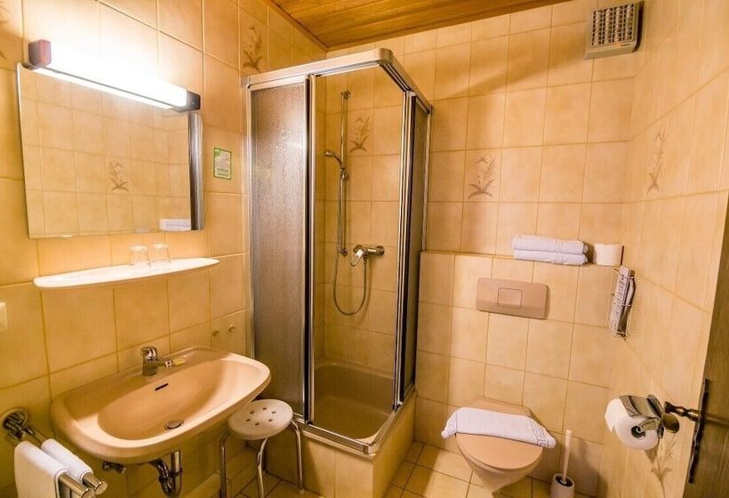 בית מלון כפרי Wald