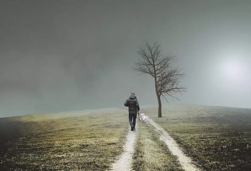 Nengshof   Haus Wildrose