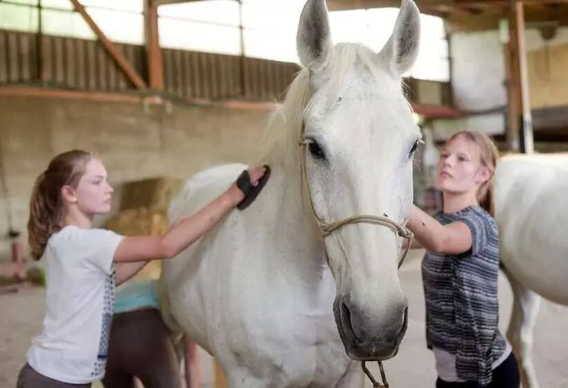 Nengshof   Haus Wildrose