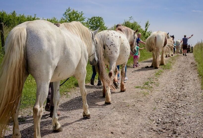 Nengshof   Haus Wildrose