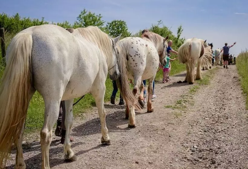 Nengshof   Haus Wildrose