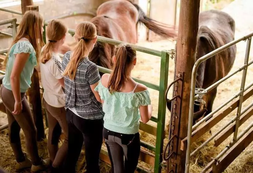 Nengshof   Haus Wildrose