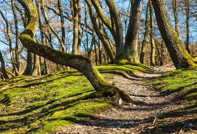 Nengshof   Haus Wildrose
