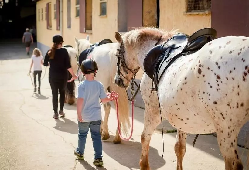 Nengshof   Haus Wildrose