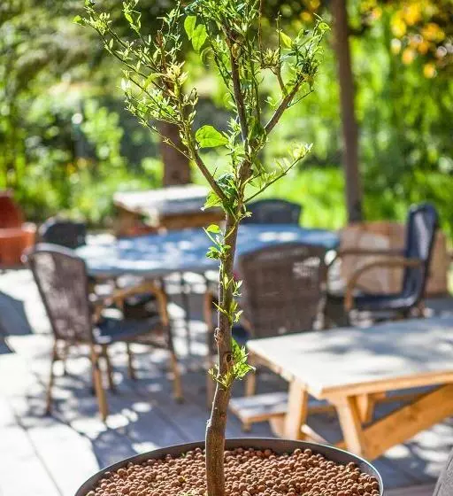 Majatalo Auberge De La Vallee