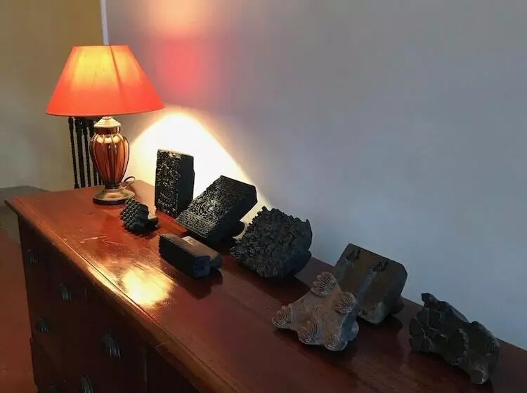 Majatalo Couleurs De Camargue