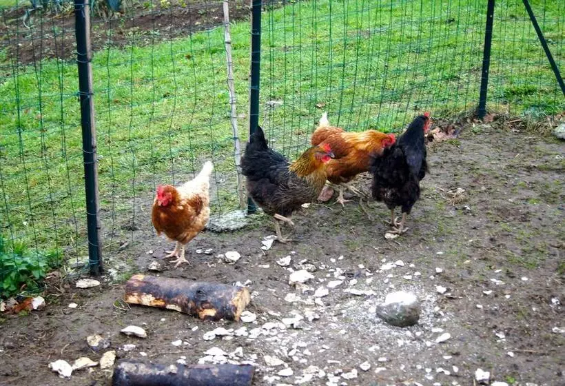 Majatalo Keryanti Domaine De Lesleac'h