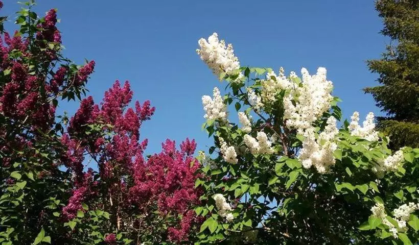 Majatalo Les 2 Granges Chambre D Hôtes