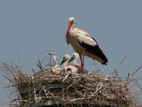 פנסיון Les 2 Granges Chambre D Hôtes