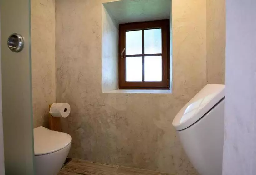 Majatalo Penzion Vejrovna